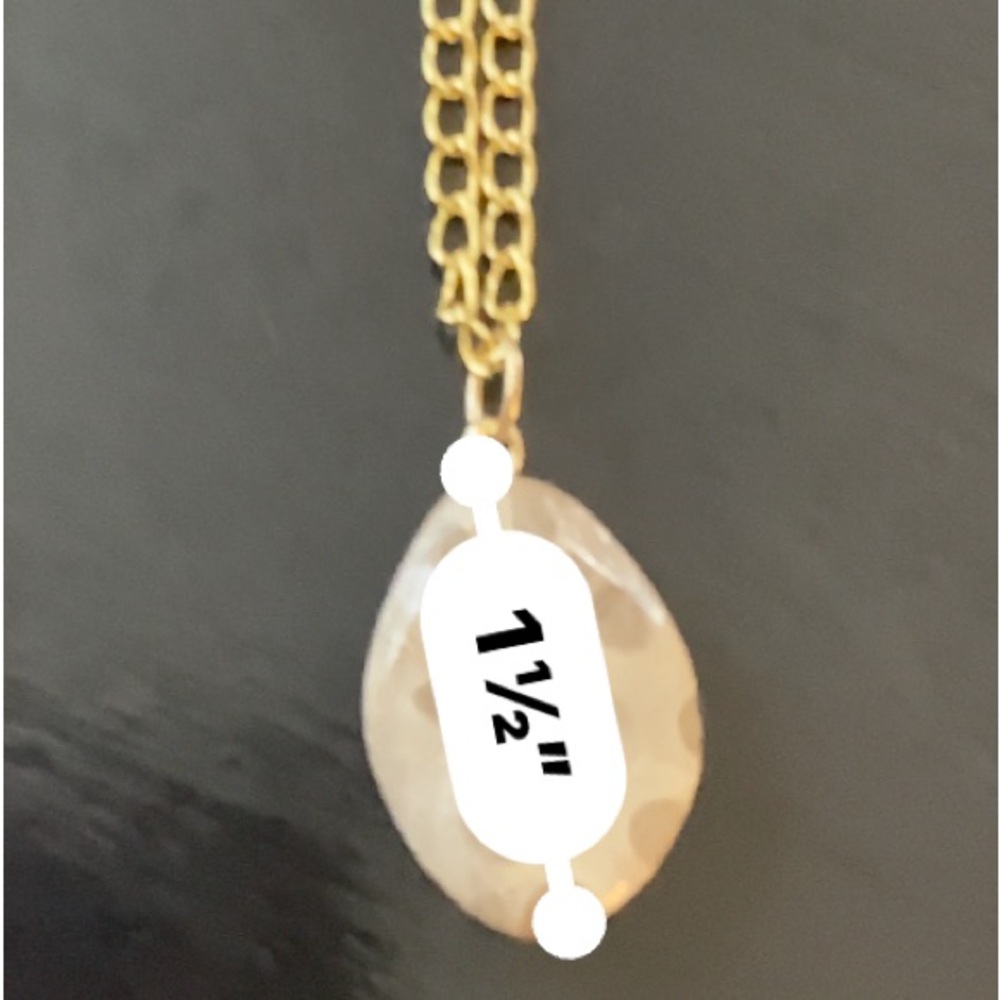Beautiful handmade Petoskey Stone pendant with Gold tone 20" Chain Necklace. - Picture 7 of 9